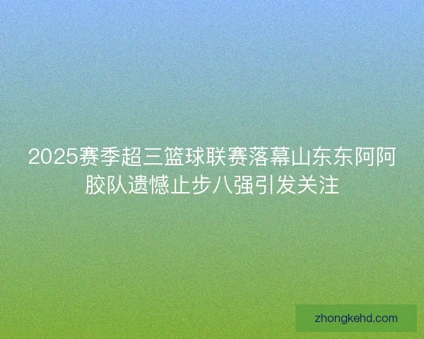 2025赛季超三篮球联赛落幕山东东阿阿胶队遗憾止步八强引发关注